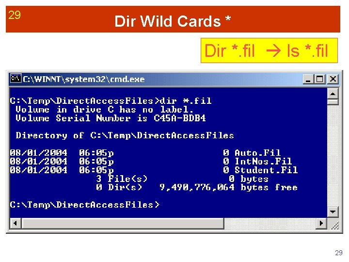 29 Dir Wild Cards * Dir *. fil ls *. fil 29 