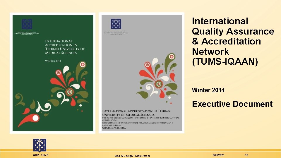 International Quality Assurance & Accreditation Network (TUMS-IQAAN) Winter 2014 Executive Document GSIA. TUMS Idea