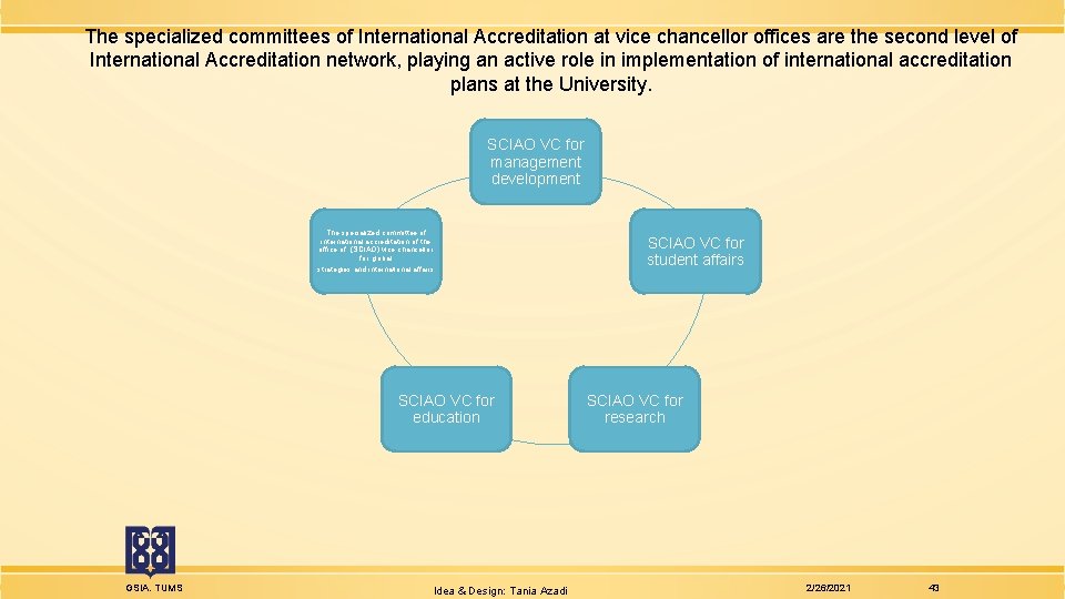 The specialized committees of International Accreditation at vice chancellor offices are the second level