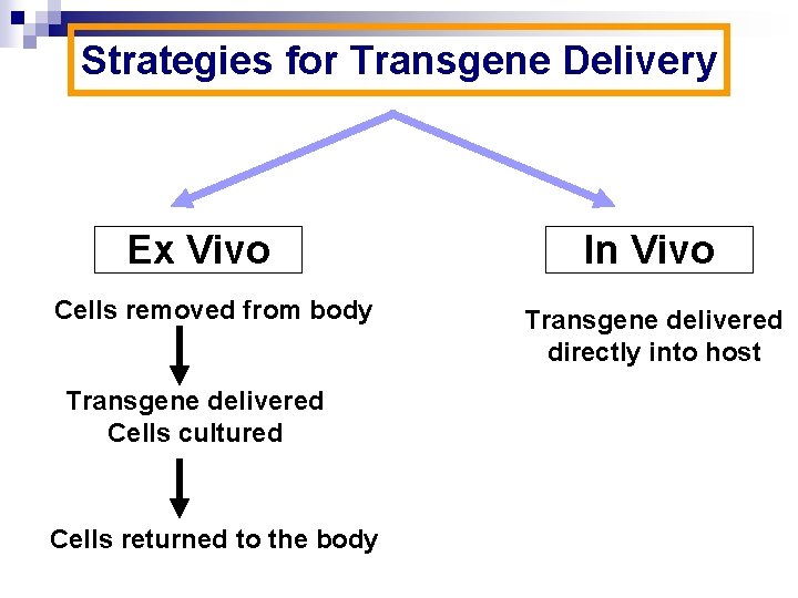 Strategies for Transgene Delivery Ex Vivo Cells removed from body Transgene delivered Cells cultured
