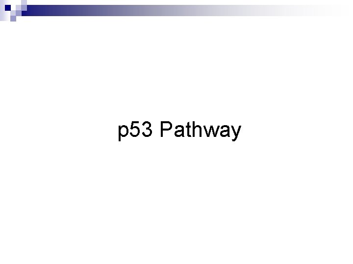 p 53 Pathway 