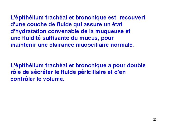 L'épithélium trachéal et bronchique est recouvert d'une couche de fluide qui assure un état L'épithélium trachéal et bronchique est recouvert d'une couche de fluide qui assure un état