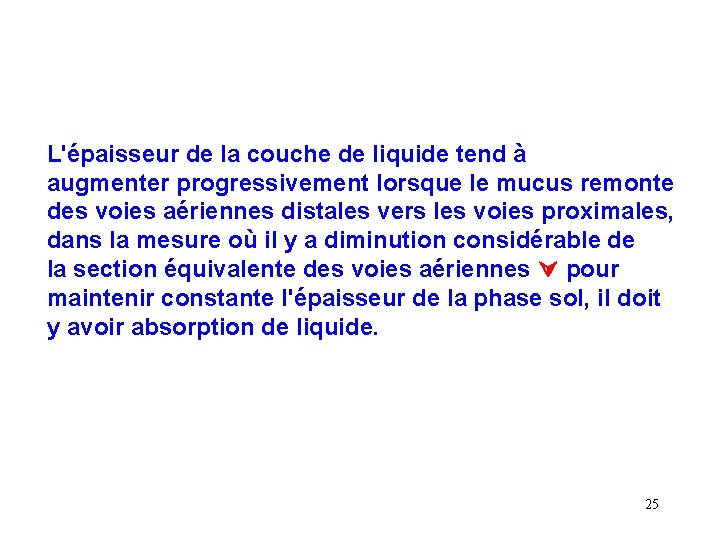 L'épaisseur de la couche de liquide tend à augmenter progressivement lorsque le mucus remonte L'épaisseur de la couche de liquide tend à augmenter progressivement lorsque le mucus remonte
