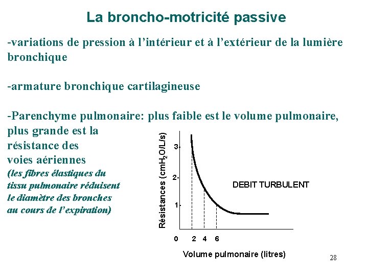 La broncho-motricité passive -variations de pression à l’intérieur et à l’extérieur de la lumière La broncho-motricité passive -variations de pression à l’intérieur et à l’extérieur de la lumière