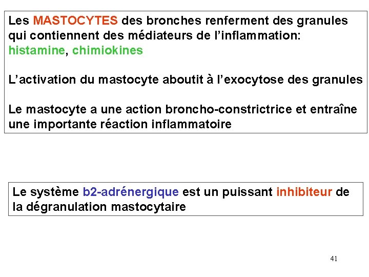 Les MASTOCYTES des bronches renferment des granules qui contiennent des médiateurs de l’inflammation: histamine, Les MASTOCYTES des bronches renferment des granules qui contiennent des médiateurs de l’inflammation: histamine,