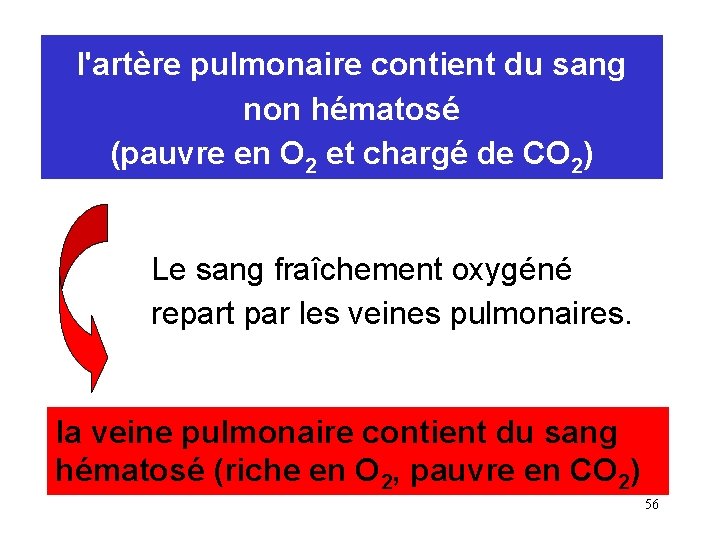 l'artère pulmonaire contient du sang non hématosé (pauvre en O 2 et chargé de l'artère pulmonaire contient du sang non hématosé (pauvre en O 2 et chargé de