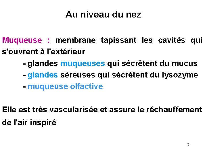 Au niveau du nez Muqueuse : membrane tapissant les cavités qui s'ouvrent à l'extérieur Au niveau du nez Muqueuse : membrane tapissant les cavités qui s'ouvrent à l'extérieur