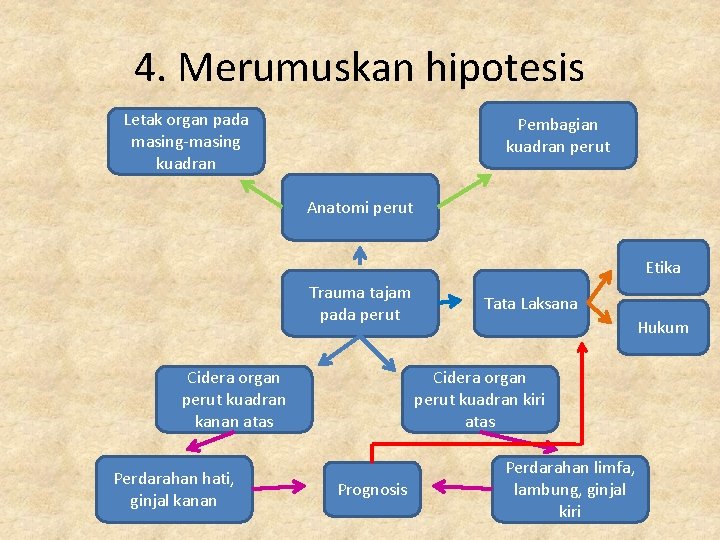 4. Merumuskan hipotesis Letak organ pada masing-masing kuadran Pembagian kuadran perut Anatomi perut Etika