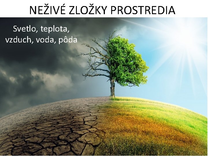 NEŽIVÉ ZLOŽKY PROSTREDIA Svetlo, teplota, vzduch, voda, pôda 