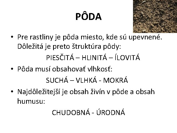 PÔDA • Pre rastliny je pôda miesto, kde sú upevnené. Dôležitá je preto štruktúra