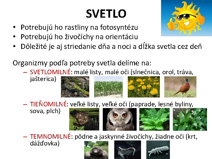 SVETLO • Potrebujú ho rastliny na fotosyntézu • Potrebujú ho živočíchy na orientáciu •