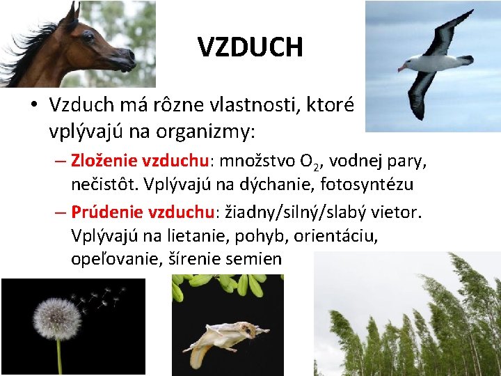 VZDUCH • Vzduch má rôzne vlastnosti, ktoré vplývajú na organizmy: – Zloženie vzduchu: množstvo