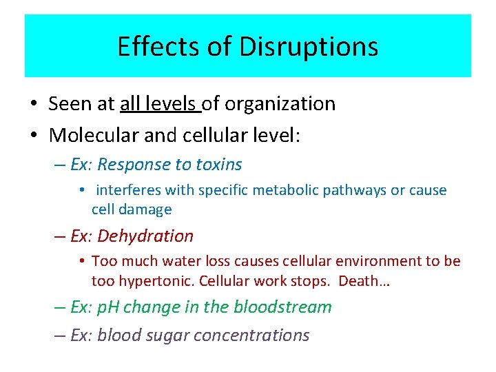 Effects of Disruptions • Seen at all levels of organization • Molecular and cellular