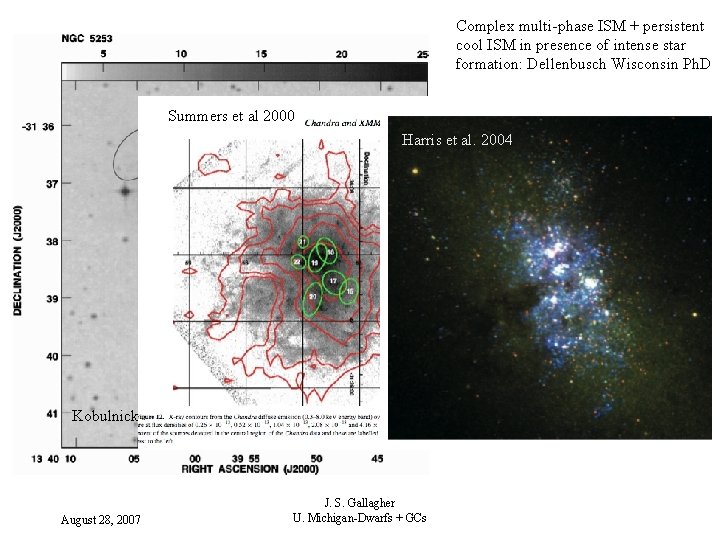 Complex multi-phase ISM + persistent cool ISM in presence of intense star formation: Dellenbusch