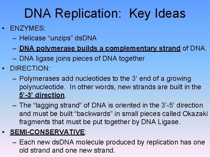 DNA Replication: Key Ideas • ENZYMES: – Helicase “unzips” ds. DNA – DNA polymerase