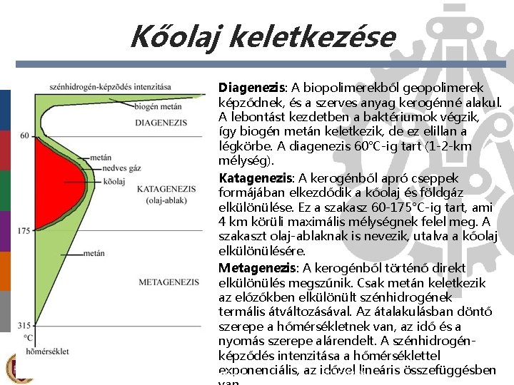 Kőolaj keletkezése Diagenezis: A biopolimerekből geopolimerek képződnek, és a szerves anyag kerogénné alakul. A