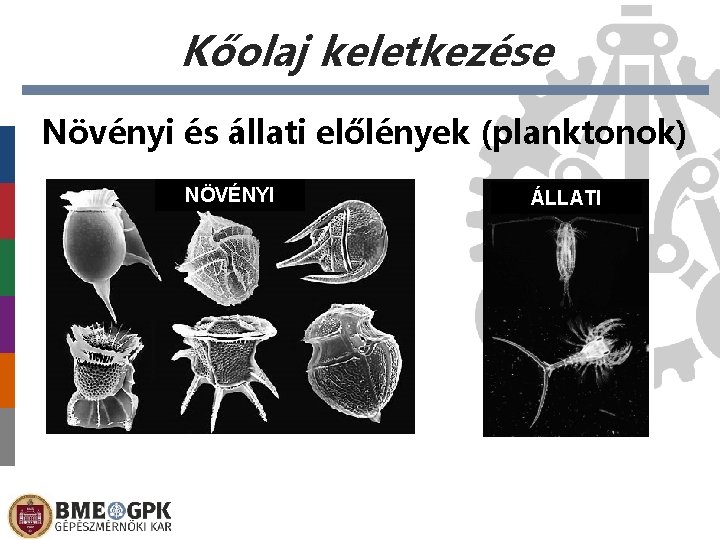 Kőolaj keletkezése Növényi és állati előlények (planktonok) NÖVÉNYI ÁLLATI 
