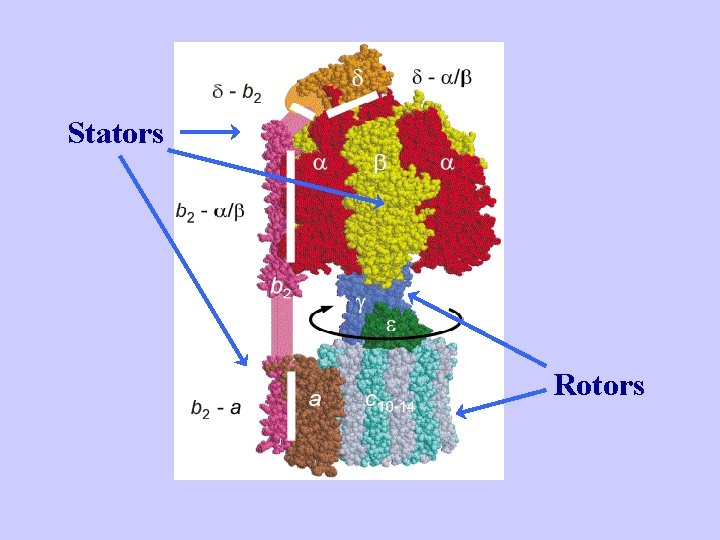 Stators Rotors 