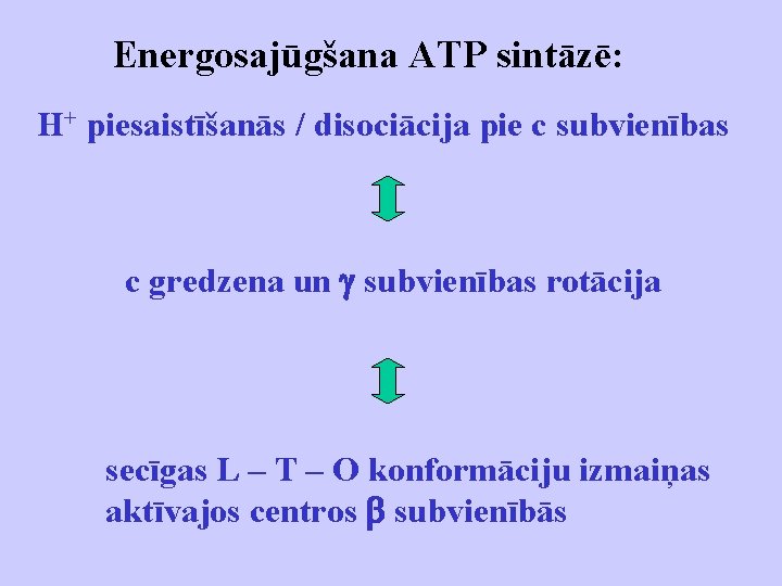 Energosajūgšana ATP sintāzē: H+ piesaistīšanās / disociācija pie c subvienības c gredzena un subvienības
