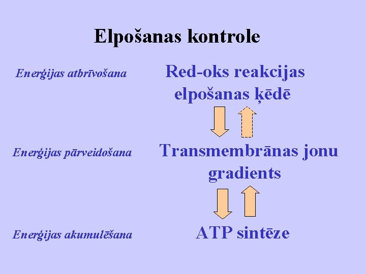 Elpošanas kontrole Enerģijas atbrīvošana Enerģijas pārveidošana Enerģijas akumulēšana Red-oks reakcijas elpošanas ķēdē Transmembrānas jonu