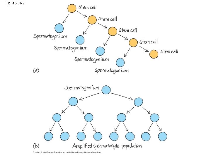 Fig. 46 -UN 2 