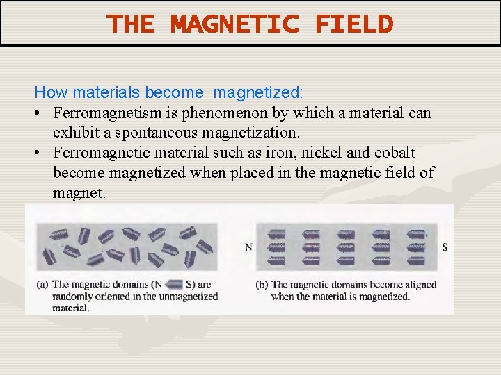 THE MAGNETIC FIELD How materials become magnetized: • Ferromagnetism is phenomenon by which a