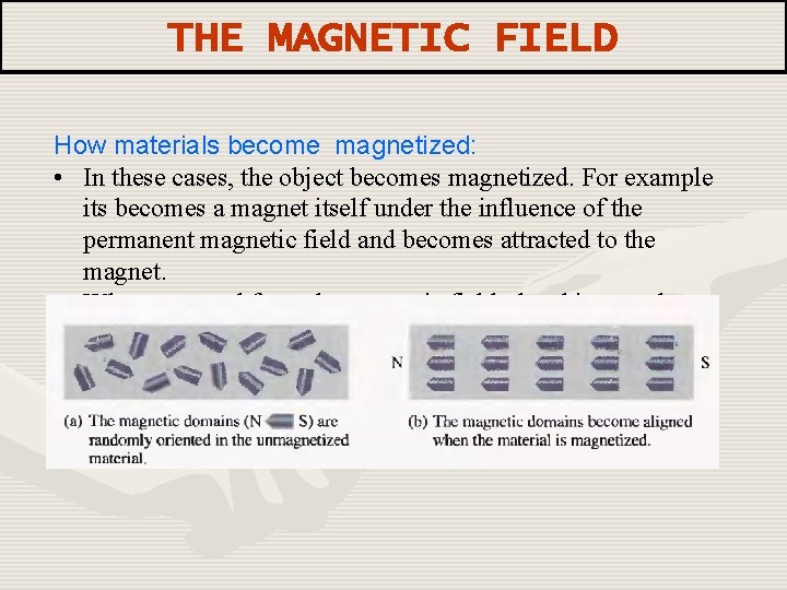 THE MAGNETIC FIELD How materials become magnetized: • In these cases, the object becomes