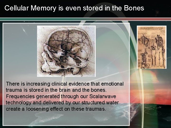 Cellular Memory is even stored in the Bones There is increasing clinical evidence that