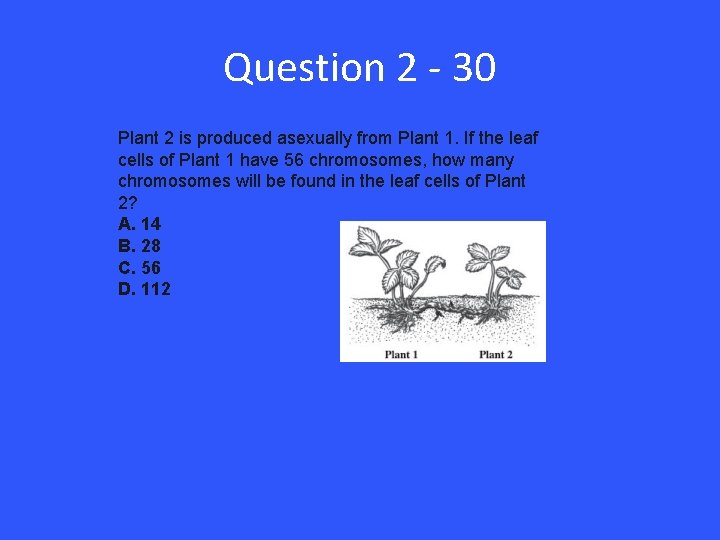 Question 2 - 30 Plant 2 is produced asexually from Plant 1. If the