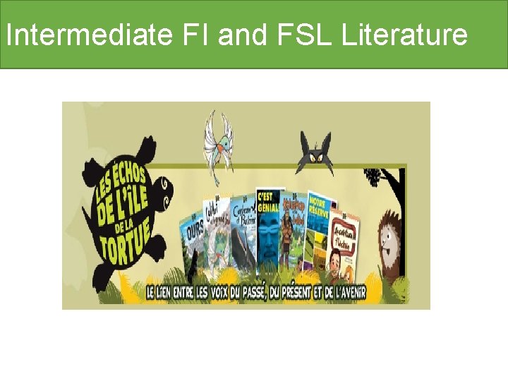 Intermediate FI and FSL Literature 