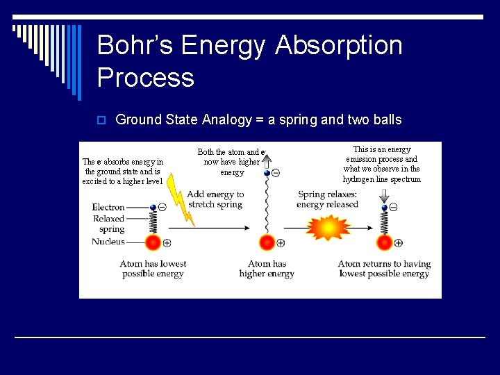 Bohr’s Energy Absorption Process o Ground State Analogy = a spring and two balls