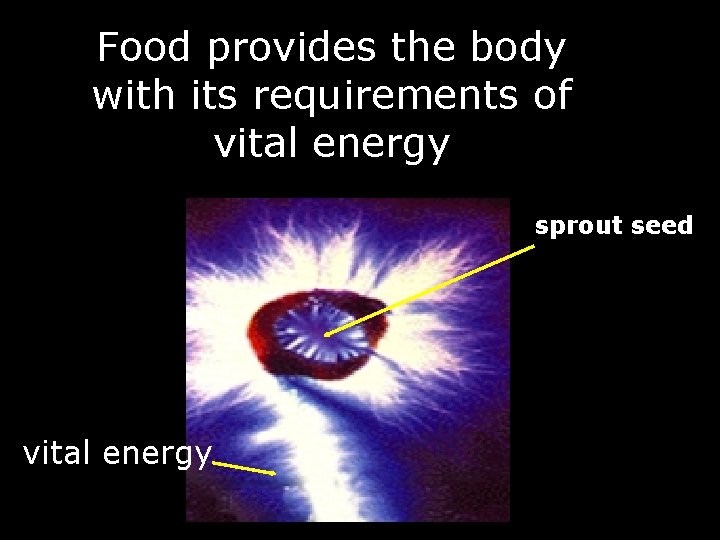 Food provides the body with its requirements of vital energy sprout seed vital energy