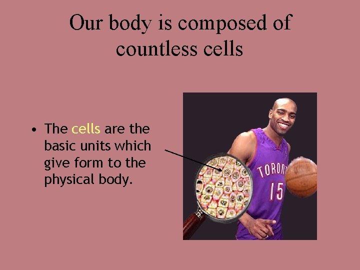 Our body is composed of countless cells • The cells are the basic units