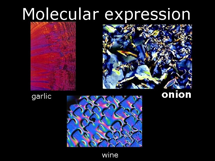 Molecular expression onion garlic wine 