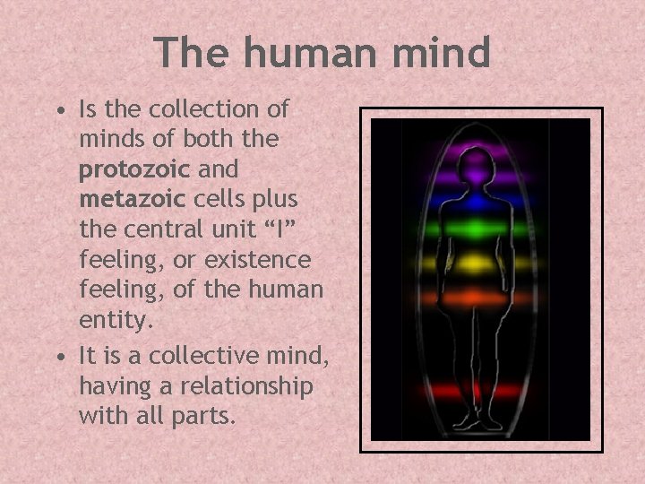 The human mind • Is the collection of minds of both the protozoic and