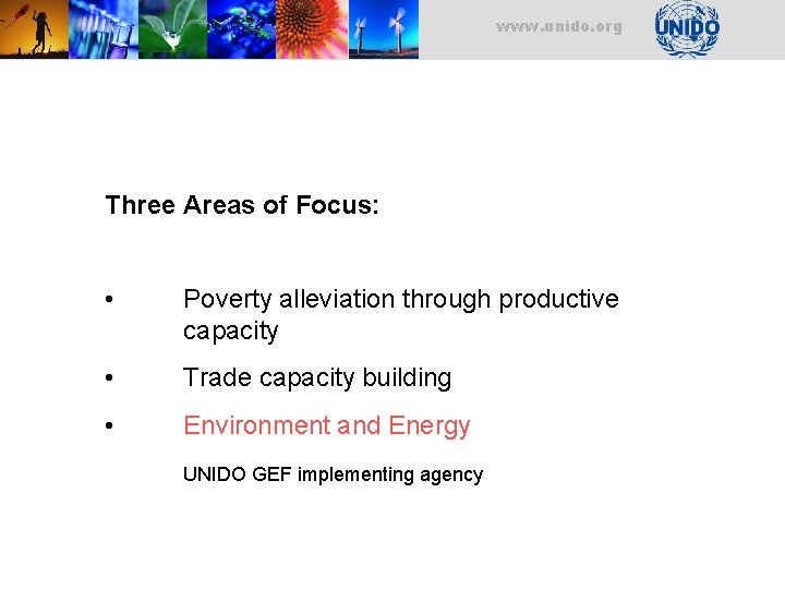 www. unido. org Three Areas of Focus: • Poverty alleviation through productive capacity • www. unido. org Three Areas of Focus: • Poverty alleviation through productive capacity •