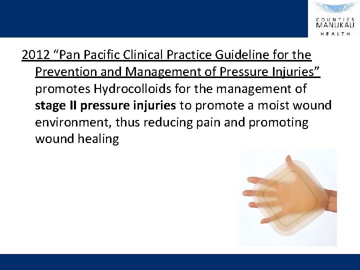 2012 “Pan Pacific Clinical Practice Guideline for the Prevention and Management of Pressure Injuries”