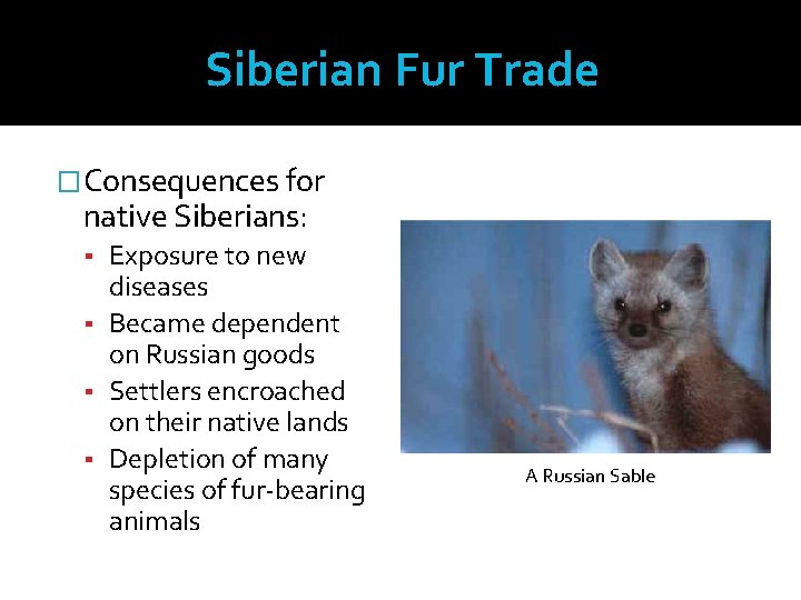 Siberian Fur Trade � Consequences for native Siberians: ▪ Exposure to new diseases ▪