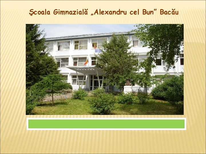 Şcoala Gimnazială „Alexandru cel Bun” Bacău 