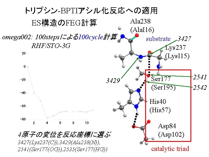 トリプシン-BPTIアシル化反応への適用 Ala 238 ES構造のFEG計算 omega 002: 100 stepsによる100 cycle計算 RHF/STO-3 G 3429 (Ala. I