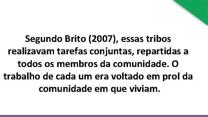 Segundo Brito (2007), essas tribos realizavam tarefas conjuntas, repartidas a todos os membros da