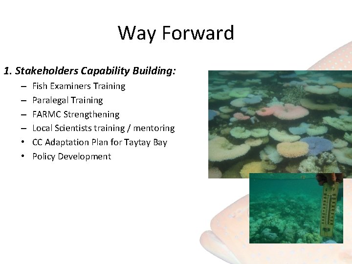 Way Forward 1. Stakeholders Capability Building: – – • • Fish Examiners Training Paralegal