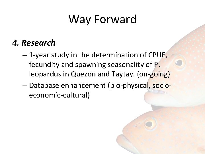 Way Forward 4. Research – 1 -year study in the determination of CPUE, fecundity