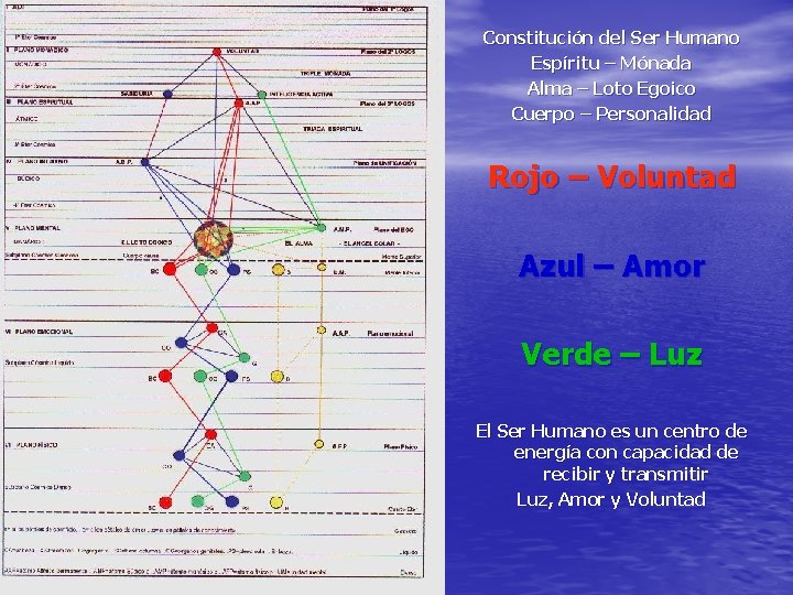 Constitución del Ser Humano Espíritu – Mónada Alma – Loto Egoico Cuerpo – Personalidad