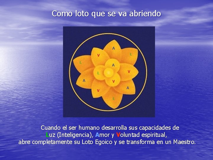 Como loto que se va abriendo Cuando el ser humano desarrolla sus capacidades de
