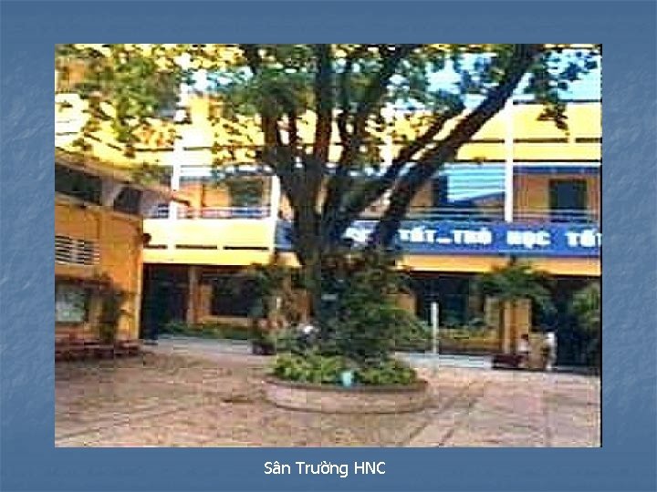 Sân Trường HNC 