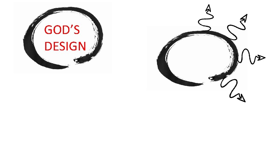 GOD’S DESIGN 