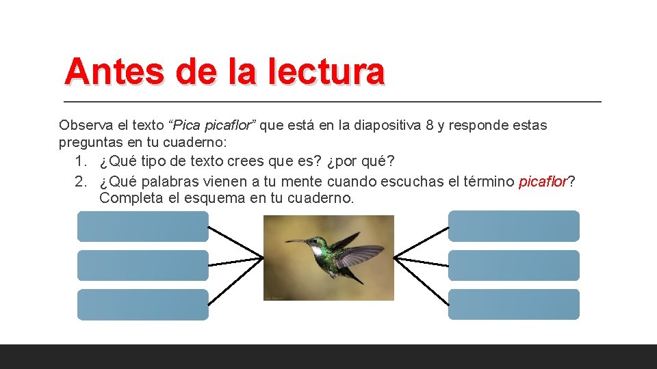 Antes de la lectura Observa el texto “Pica picaflor” que está en la diapositiva Antes de la lectura Observa el texto “Pica picaflor” que está en la diapositiva