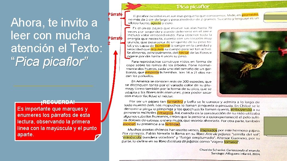 Ahora, te invito a leer con mucha atención el Texto: “Pica picaflor” ¡RECUERDA! Es Ahora, te invito a leer con mucha atención el Texto: “Pica picaflor” ¡RECUERDA! Es