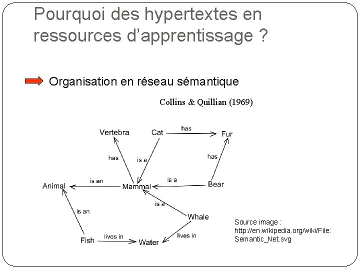 Pourquoi des hypertextes en ressources d’apprentissage ? Organisation en réseau sémantique Collins & Quillian